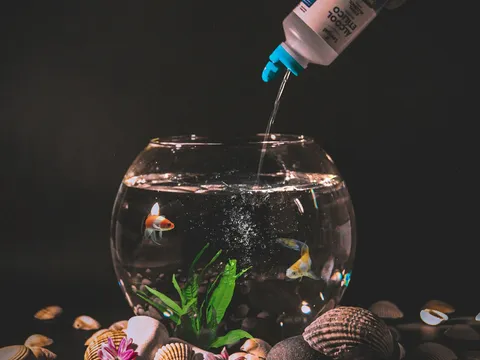 A small bowl being dosed with dechlorinator before fish go in — the instinct a proper quarantine tank channels correctly.