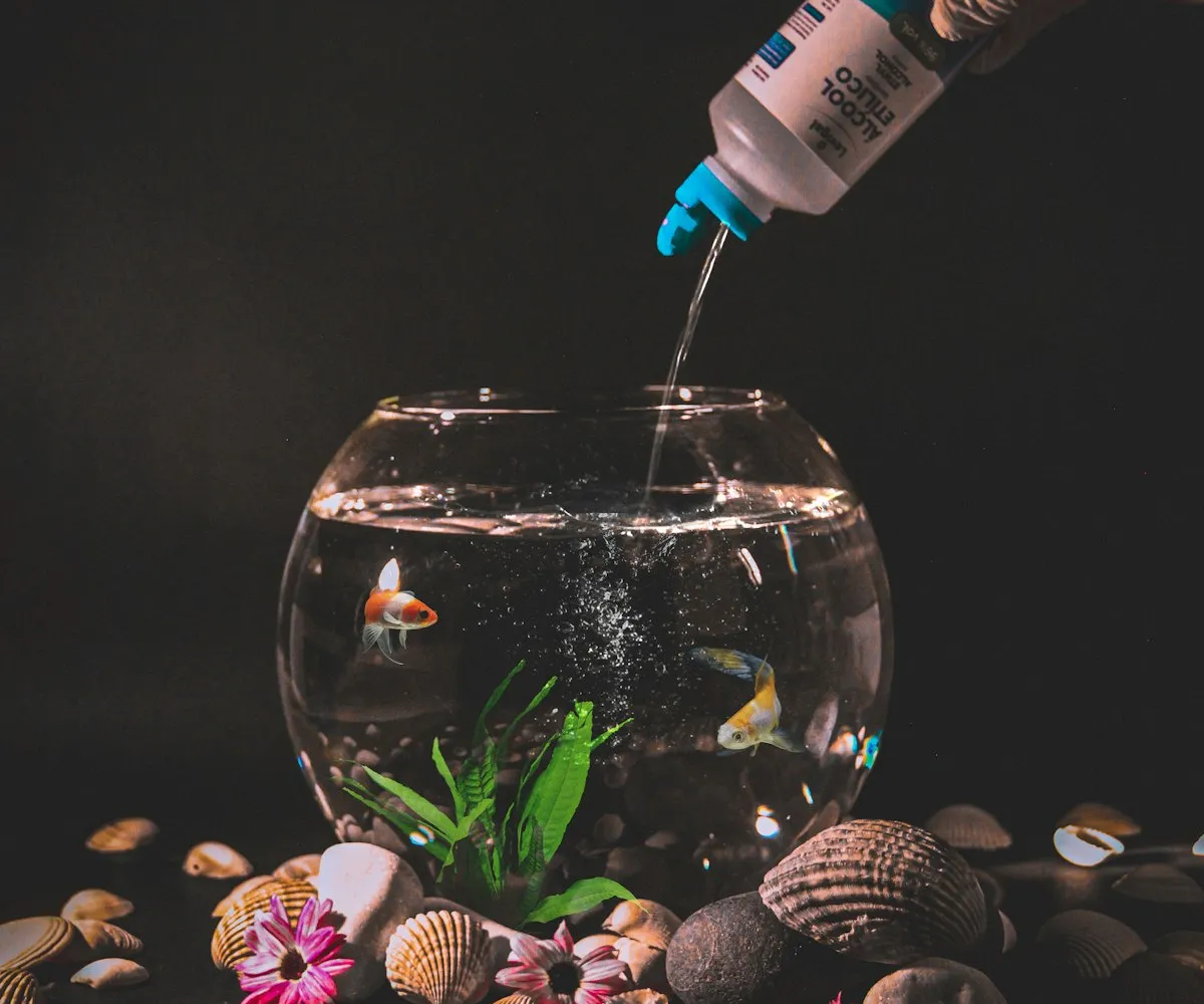 A small bowl being dosed with dechlorinator before fish go in — the instinct a proper quarantine tank channels correctly.